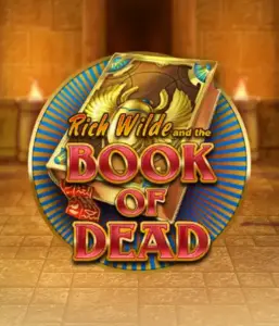 Начните захватывающий мир Book of Dead от Play'n GO, показывающий яркую графику приключений Рича Уайлда по древнеегипетским гробницам и артефактам. Раскройте затерянные богатства с захватывающими механиками, такими как бесплатные вращения, расширяющиеся символы и возможность игры на риск. Идеально для любителей приключений, желающих волнующих находок.